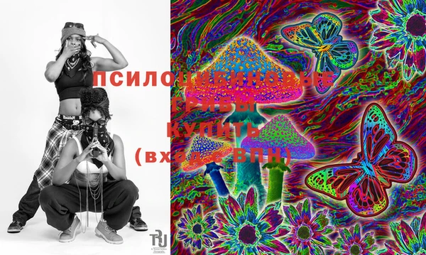 2c-b Абдулино
